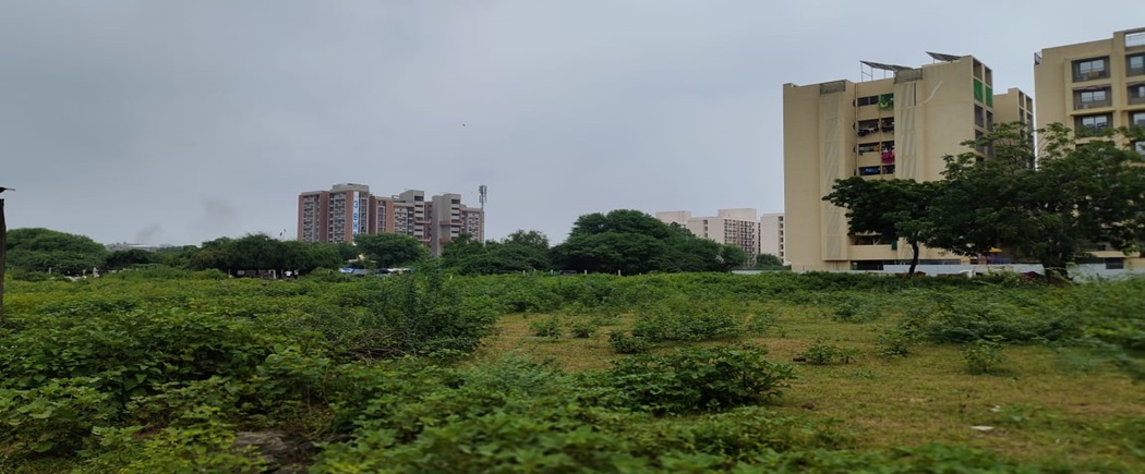 Siddharth Gardenia