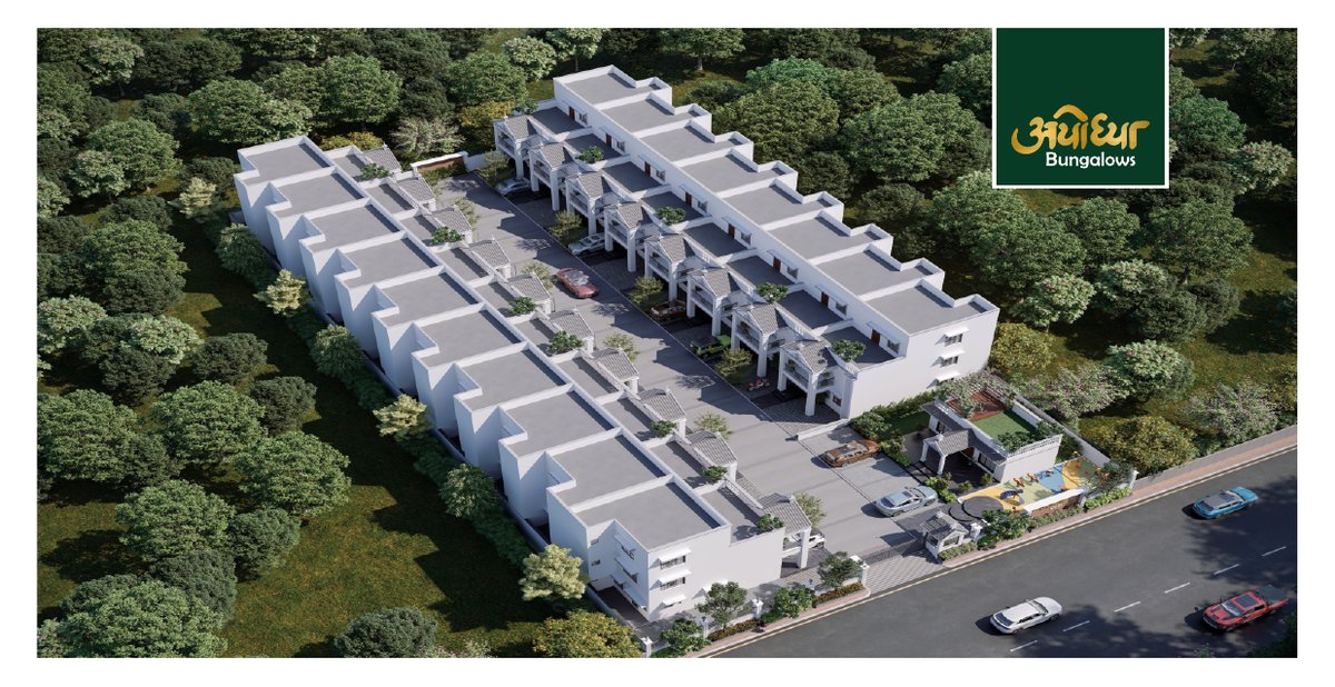 Ayodhya Gold - Image 6