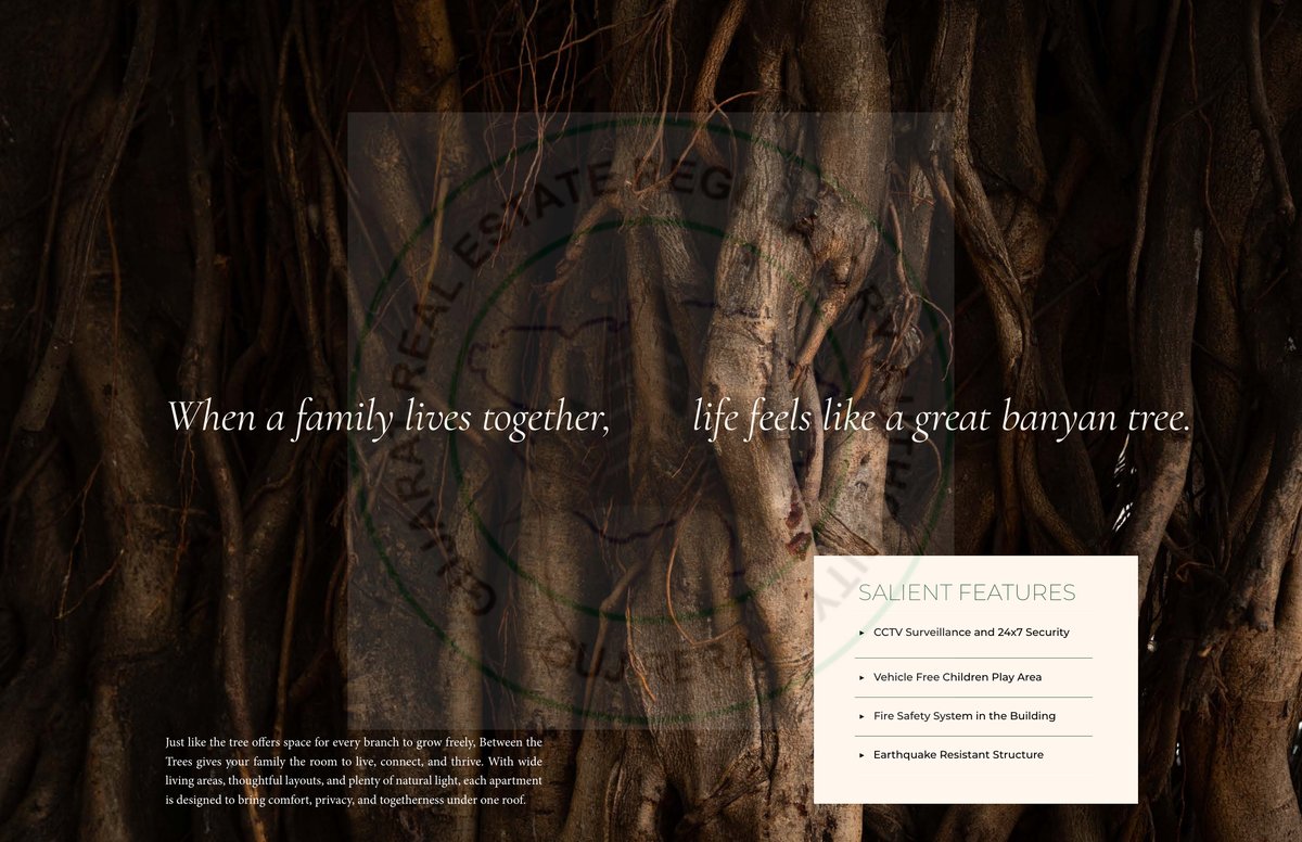 Between The Trees Image 12 Between The Trees - Image 12