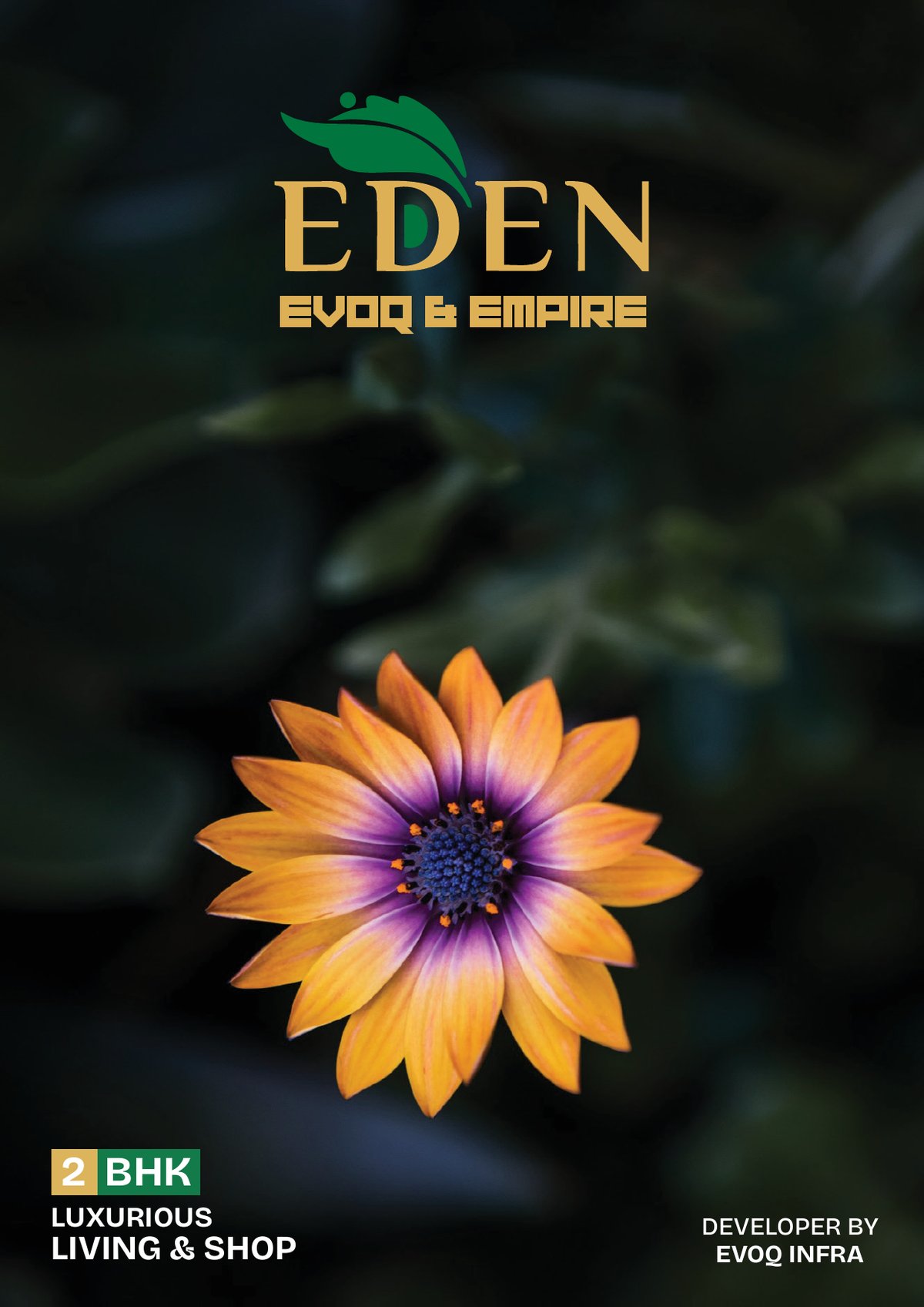 Eden Evoq & Empire Image 1 Eden Evoq & Empire - Image 1