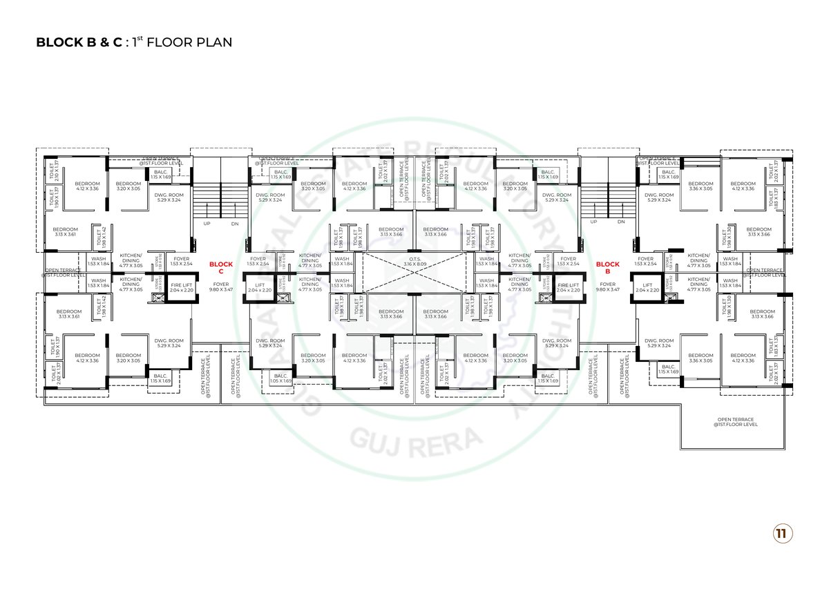Kailash Rudraksh Image 11 Kailash Rudraksh - Image 11