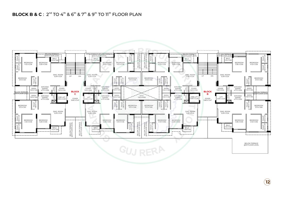 Kailash Rudraksh Image 12 Kailash Rudraksh - Image 12