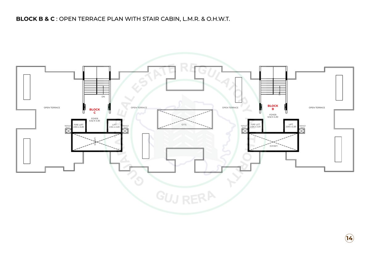 Kailash Rudraksh Image 14 Kailash Rudraksh - Image 14