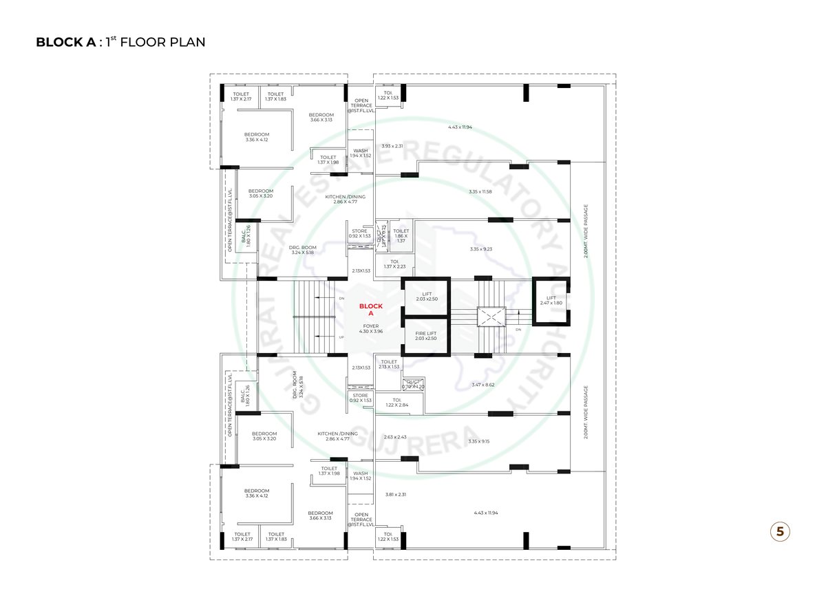 Kailash Rudraksh Image 5 Kailash Rudraksh - Image 5