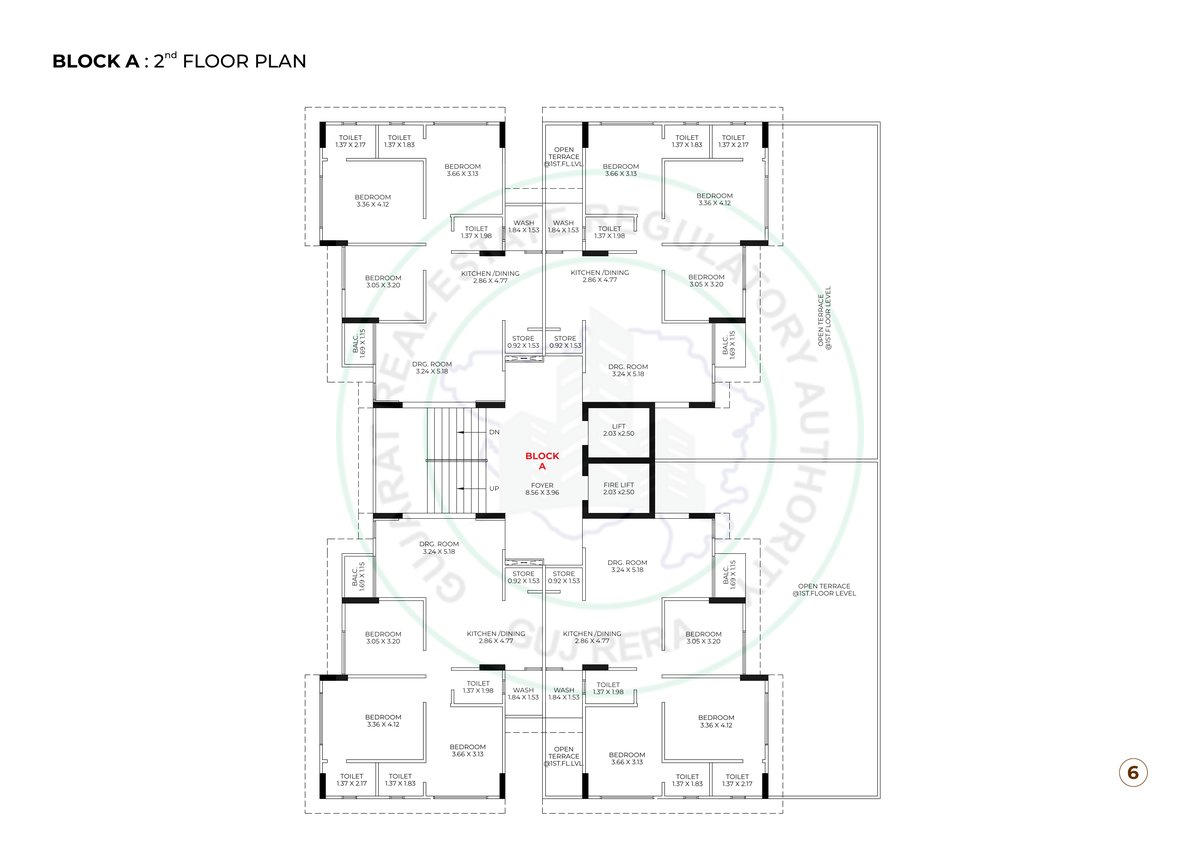 Kailash Rudraksh Image 6 Kailash Rudraksh - Image 6