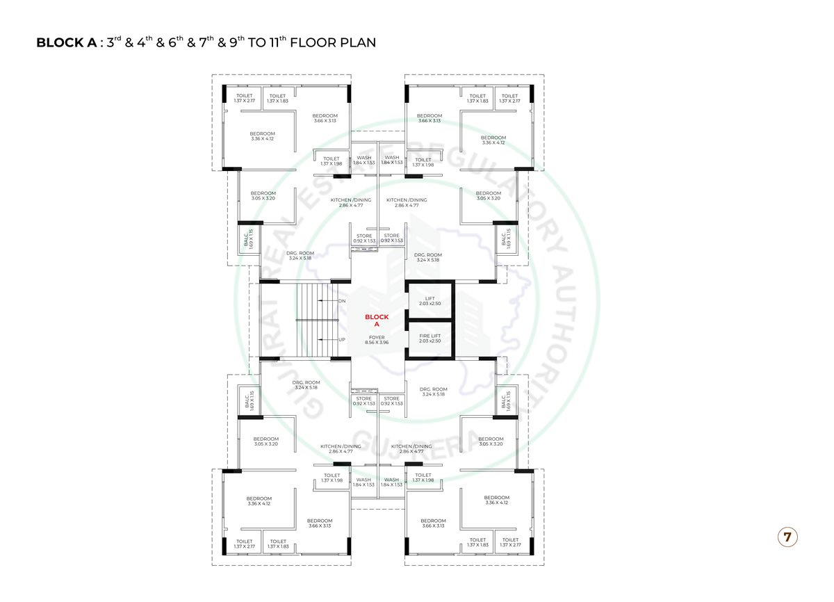 Kailash Rudraksh Image 7 Kailash Rudraksh - Image 7