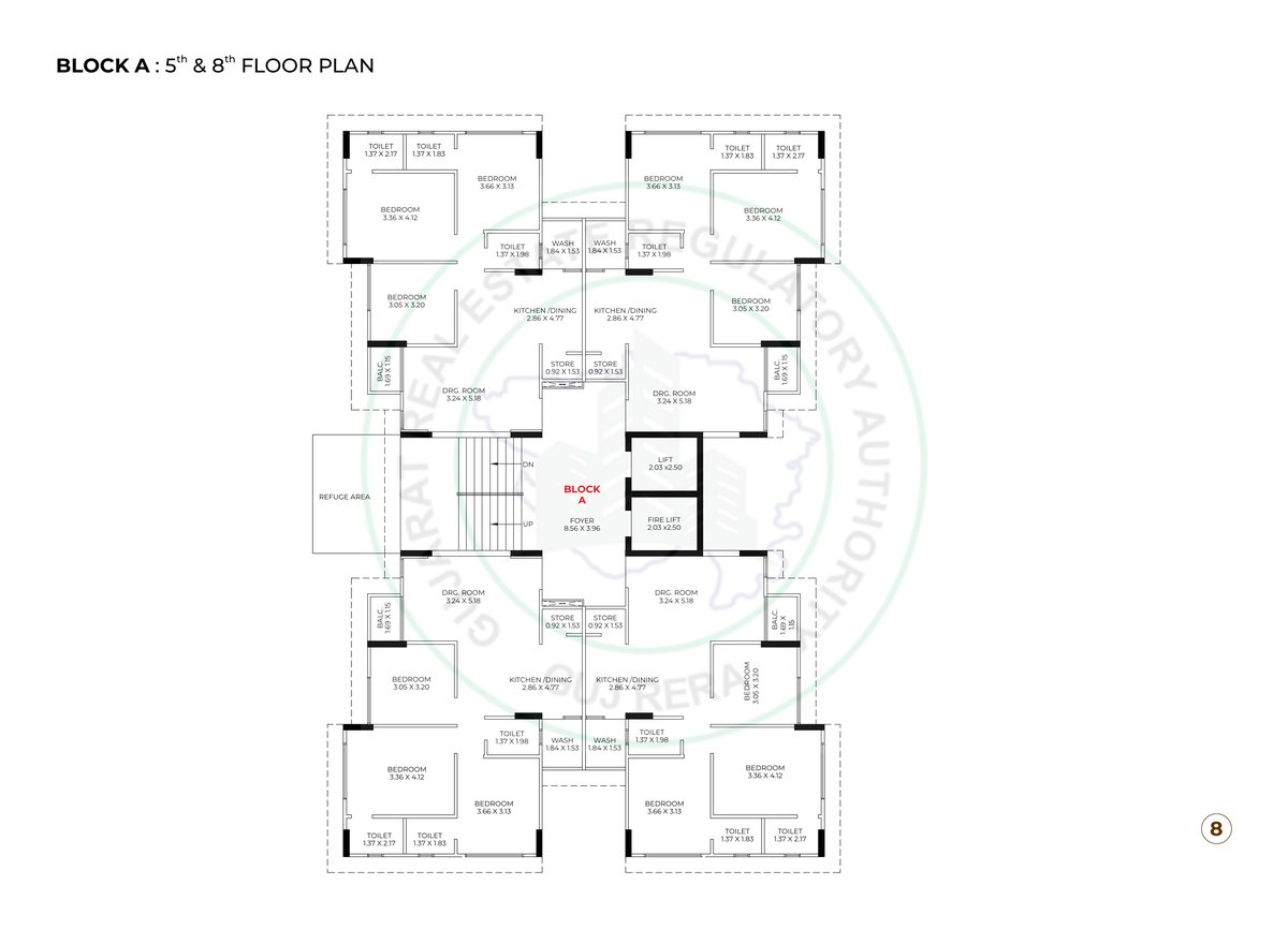 Kailash Rudraksh Image 8 Kailash Rudraksh - Image 8