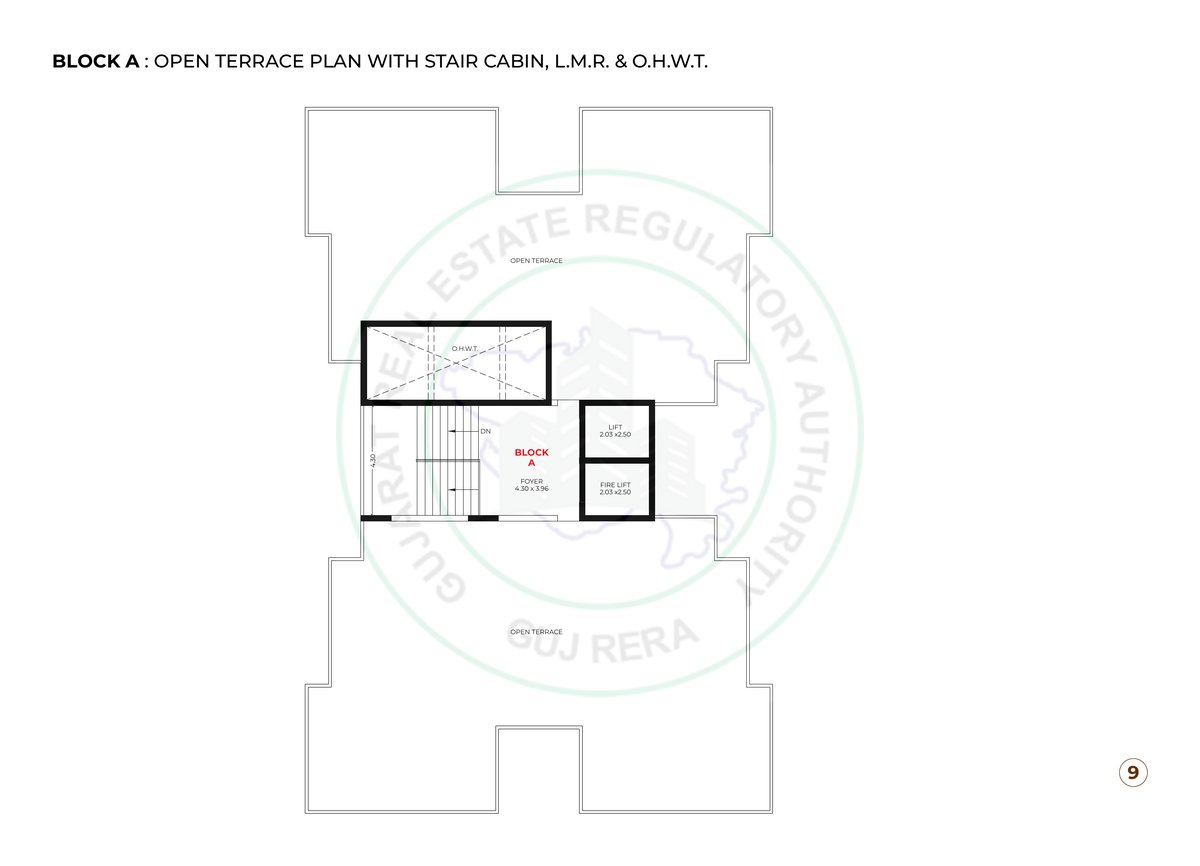 Kailash Rudraksh Image 9 Kailash Rudraksh - Image 9