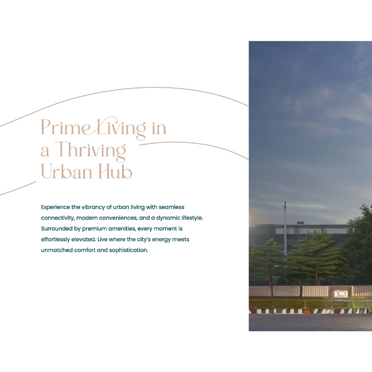 Shantam Solitaire Image 5 Shantam Solitaire - Image 5