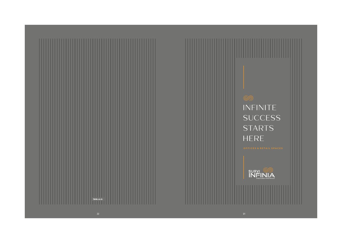 Survi Infinia - Image 1