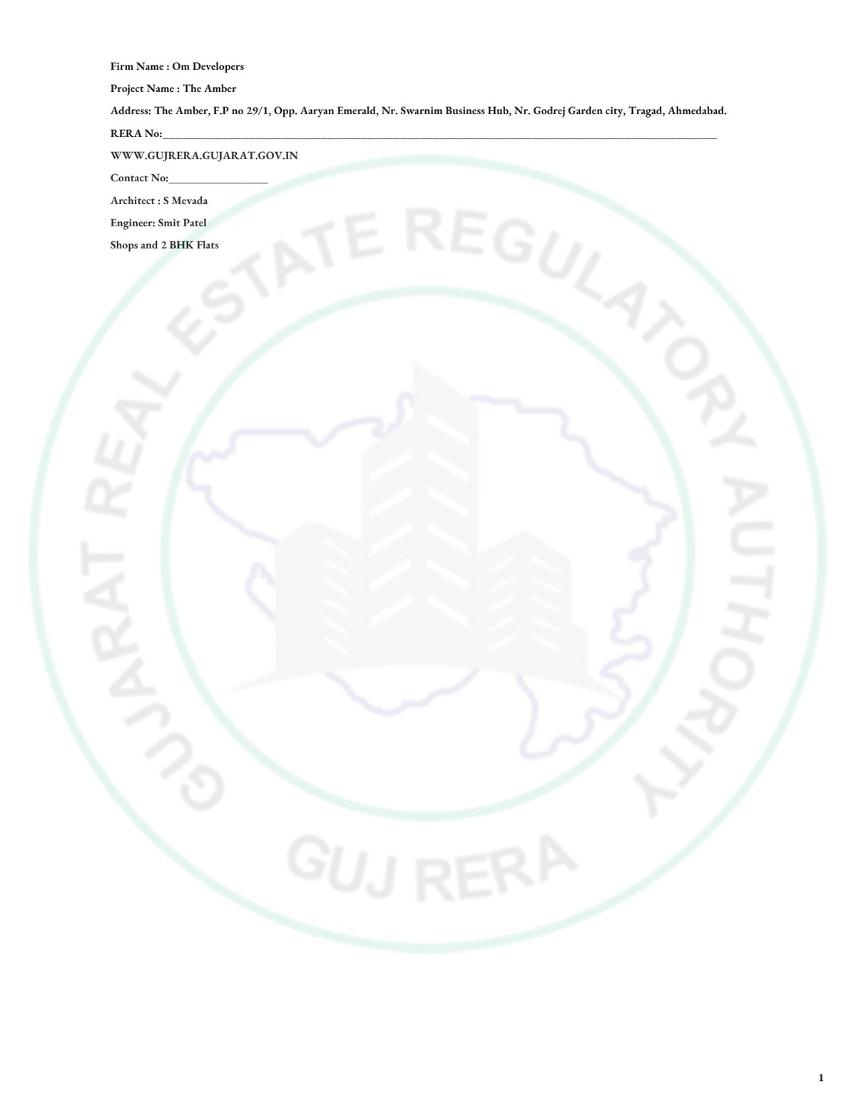 The Amber Image 1 The Amber - Image 1