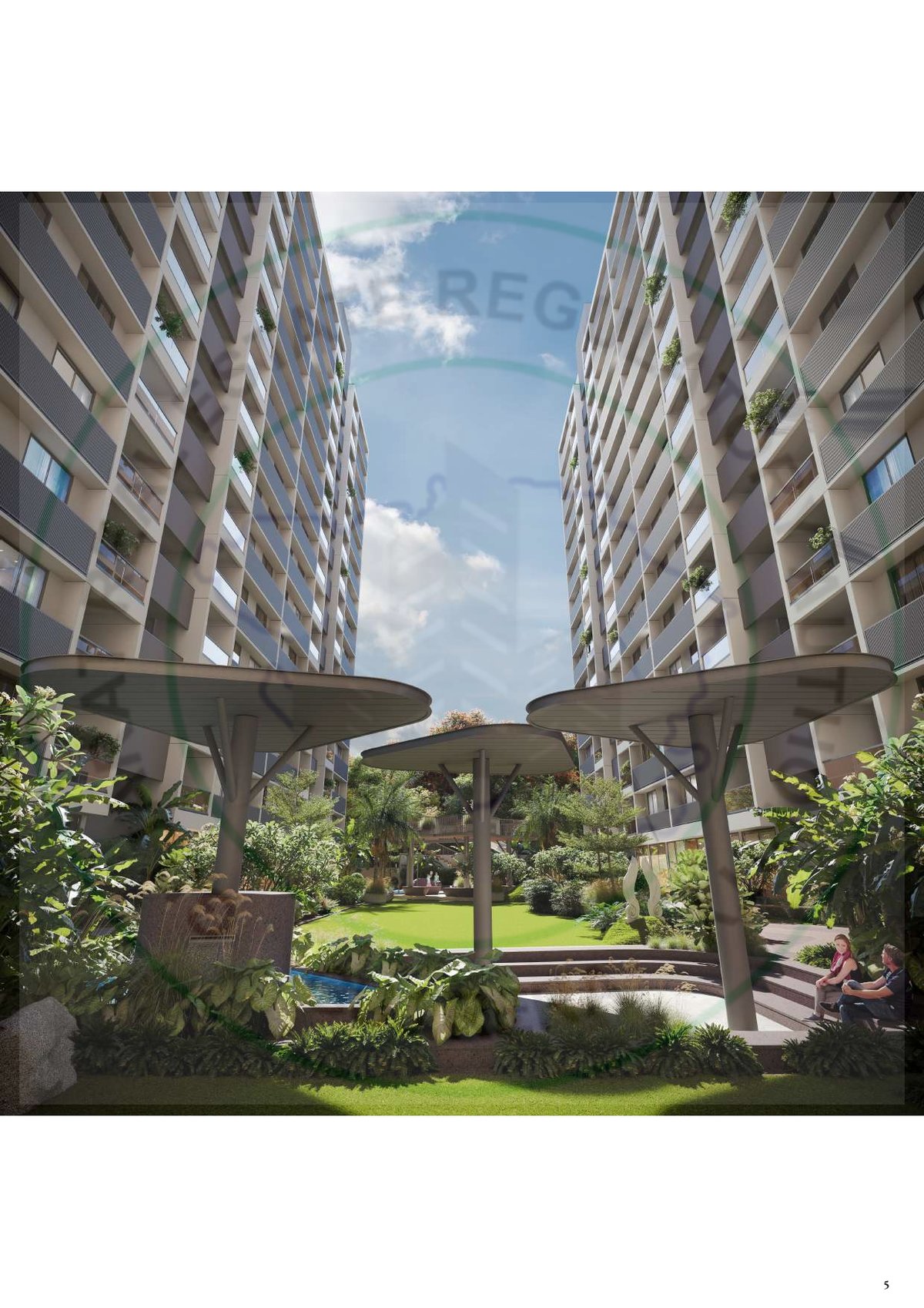 The Amber Image 5 The Amber - Image 5