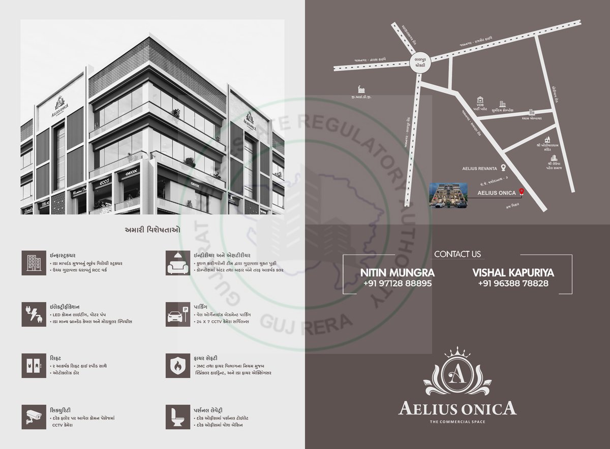 Aelius Onica - Image 7