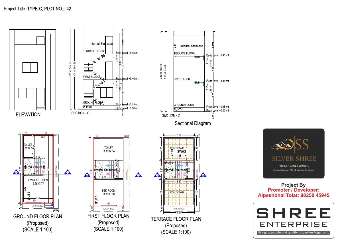 Silver Shree - Image 6