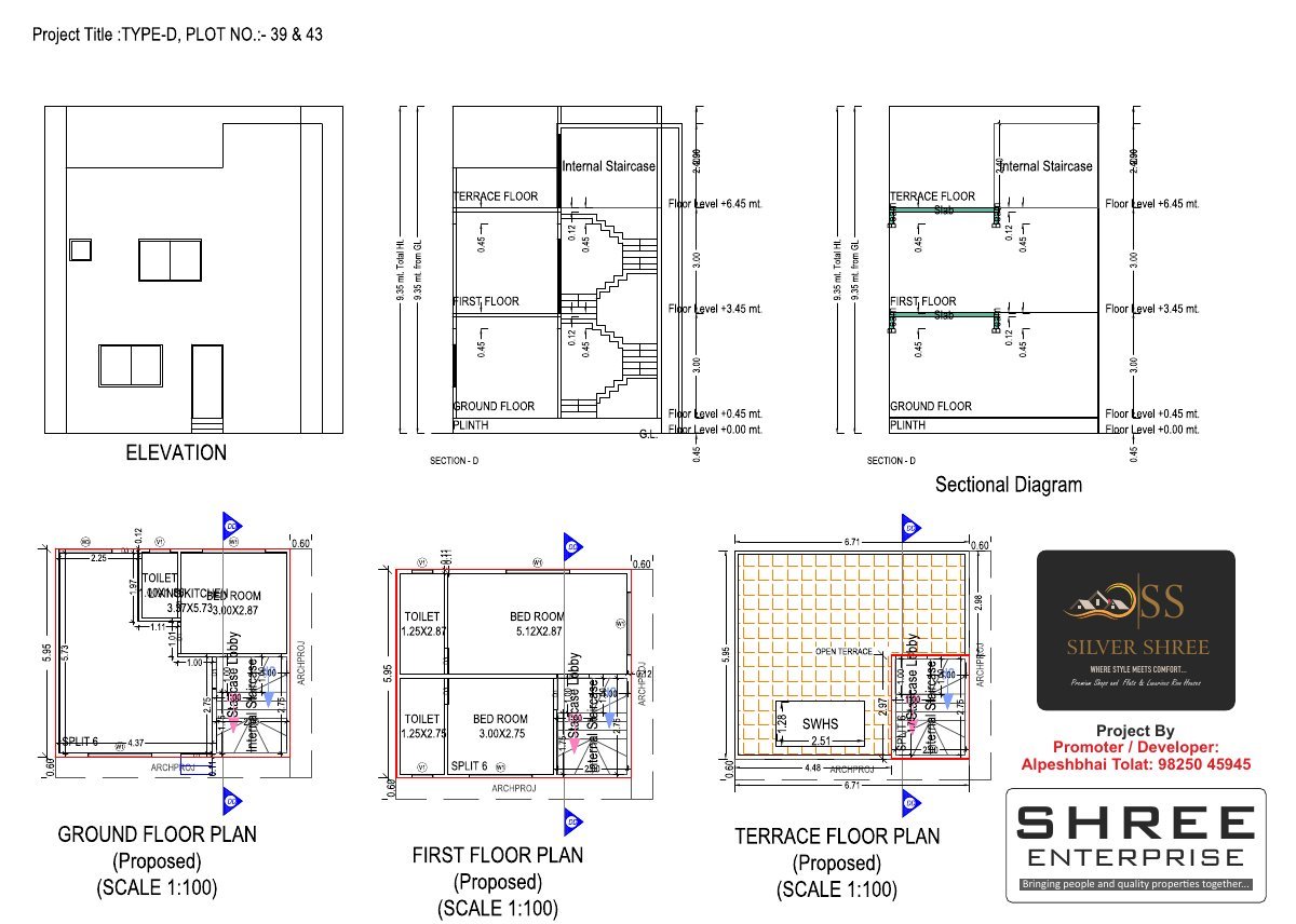 Silver Shree - Image 7
